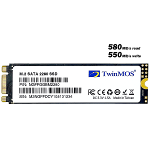 TwinMOS M.2 256GB Internal SSD