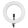 Ring Light 22"