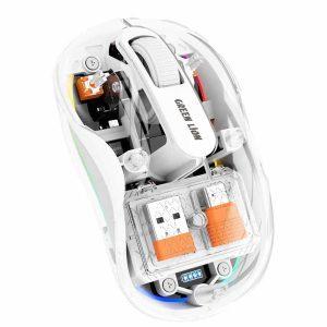 Green Lion Wireless Turtle Mouse With Type-C & USB Adapter 2400DPI – White (GNTUMS2MSEWH)