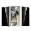 S24 Ultra Green Lion 9H Privacy Shield fingerprint Unlock Privacy Glass - Black(GN9HPVS24ULBK)