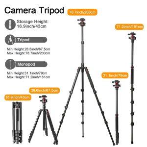 ZOMEI G200 Camera Tripod 2M 5-Section Multifunction Folding Stand